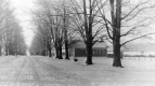 East Road School