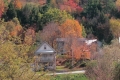 Autumn Scene
