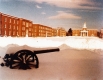 Cannon in winter