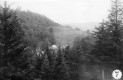 Forests and Tents