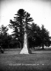 Soldier's Monument at Highgate Center