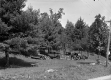 Gleason Park in East Jamaica