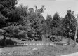 Gleason Park in East Jamaica