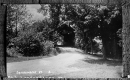 Covered Bridge in Londonderry