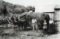 Family with hay wagon