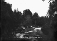 Horse and Carriage on East Wallingford Road