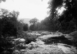 Whitestone River at Wardsboro