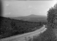 Rural Road in Weston
