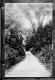 Forest Road near Wilmington