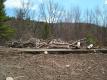 Clear Cutting Twin Lake Camp