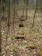 Camp Foundations