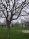 Battery Street Park