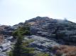 Top of Camel's Hump
