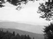 View from Mountain