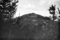 Forested mountaintop