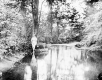 Woman by a Forest Pond
