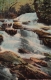 Benjamin Falls