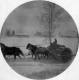 Snow roller with a team of horses