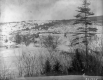 Connecticut River and pulp piles