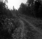 Automobile going down the road