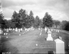 Cemetery in Barnet