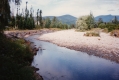 Shore of the Little River Above Gables Bridge