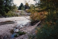 Banks of the Little River 