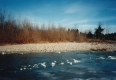 Section of the Little River Above Trapps 95 Bridge with Ice Chunks 