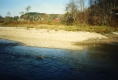 Shore of the Little River Above Gables Bridge