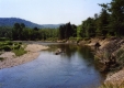View of Little River from Percy Drive