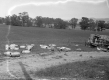 Damage from truck accident at Cornwall
