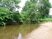 The Leafy Banks of the Little River