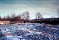 Behind Percy's Garage on the Little River