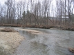 Broken trees along the West Branch