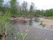 A Pile of Branches on the Little River