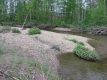 The Little River in May