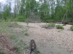 The Banks of the West Branch
