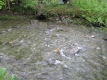 The Pebbly Bottom of Moss Glen Brook