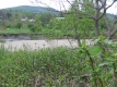 The Little River near Moody Farm