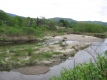 The Little River at a turn