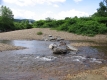 The Little River Flows Past