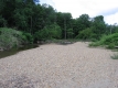 A Leafy Bank of the Little River