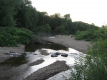 Fallen Trees on the Little River