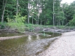 The Little River