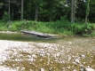 Sunny Day on the Huntington River