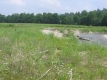 A Field Slopes into Huntington River