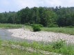 Grass around the Huntington River