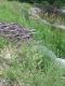A Pile of Sticks on the Riverbank