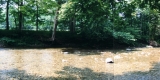 The Shady Banks of the Huntington