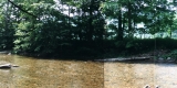 The Tree-lined Huntington River